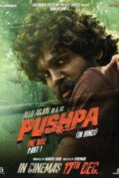 Pushpa :The Rise Part 1 2021 Web-DL 4K | 720p | 1080p | 480p