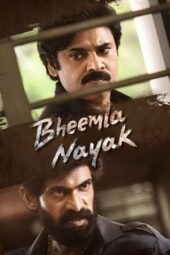 Bheemla Nayak (2022) 720p + 1080p + 2160p 4K Uncut 10bit HULU WEB-DL H.265 [Org Hindi DDP5.1~384Kbps + Telugu DDP5.1] ESub