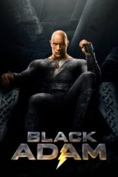 Black Adam (2022) Multi Audio WEB-DL [Hin + Eng + Tam + Tel (DDP 5.1)] 1080p 720p 480p ESub