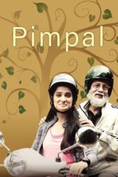 Pimpal (2018) 360p + 720p + 1080p AMZN WEB-DL Marathi DDP5.1 H.264