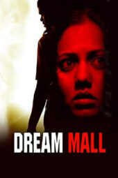 Dream Mall (2015) 360p + 720p + 1080p AMZN WEB-DL Marathi DDP5.1 H.264