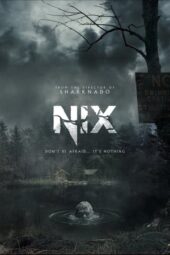 Nix (2022) 720p WEBRip HINDI Dubbed (1XBET)