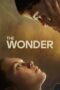 The Wonder (2022) NF WEB-DL [Hin + Eng (DDP 5.1)] Dual Audio 480p 720p 1080p ESub