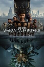 Black Panther: Wakanda Forever (2022) 1080p BDRip HINDI Dubbed (1XBET)