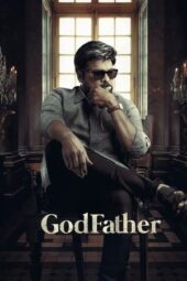 GodFather (2022) Hindi 720p + 1080p NF WEB-DL DDP5.1 H.264