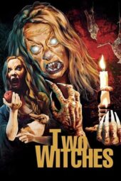 Two Witches (2021) 720p BluRay HINDI Dubbed (PariMatch)