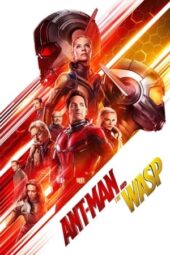 Ant-Man and the Wasp (2018) BluRay Dual Audio [Hindi DD5.1 + English DD5.1] 480p | 720p | 1080p ESub