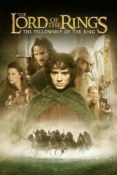 The Lord of the Rings The Fellowship of the Ring (2001) EXTENDED 360p + 720p + 1080p + 2160p 4K 10bit Bluray x265 HEVC [Org Hindi DVD DD 5.1 ~ 448Kbps + English AAC 5.1] ESubs