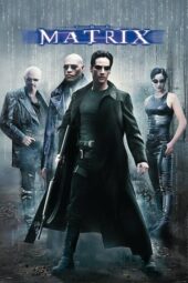 The Matrix (1999) BluRay Dual Audio [Hindi 5.1 + English 5.1] 720p + 480p ESub.