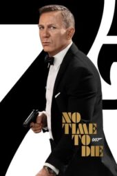 No Time to Die (2021) BluRay Hin Eng 480p + 720p + 1080p DDP 5.1 ESub