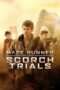 Maze Runner – The Scorch Trials (2015) 360p + 720p + 1080p + 2160p 4K 10bit BluRay x265 HEVC [Org Hindi HDTV DD 2.0 ~ 384Kbps + English AAC 2.0] ESub