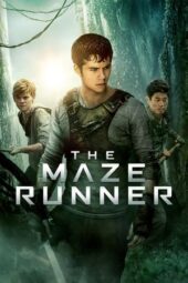 The Maze Runner (2014) 360p + 720p + 1080p + 2160p 4K 10Bit BluRay x265 HEVC [Org Hindi DTH DD 2.0 ~384Kbps + English AAC 2.0] Esubs