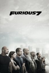 Furious 7 (2015) BluRay Dual Audio [Hindi 5.1 + English 5.1] 720p + 480p ESub