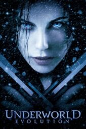 Underworld: Evolution (2006) BluRay Hindi English 720p + 480p AAC 5.1 x264 ESub