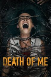 Death of Me (2020) BluRay Dual Audio [Hindi DD5.1 + English DD5.1] 480p | 720p | 1080p ESub