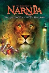 The Chronicles of Narnia: The Lion, the Witch and the Wardrobe (2015) BluRay Dual Audio [Hindi DD5.1 + English DD5.1] 480p | 720p | 1080p ESub