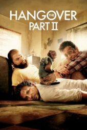 The Hangover Part II (2011) BluRay Dual Audio [Hindi DD5.1 + English DD5.1] 480p | 720p | 1080p ESub