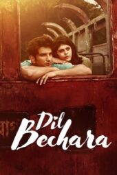 Dil Bechara (2020) Hindi 360p + 480p + 720p + 1080p BluRay ESub