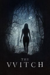 The Witch (2015) BluRay Dual Audio [Hindi DD5.1 + English DD5.1] 480p | 720p | 1080p ESub