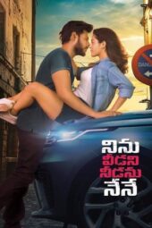 Ninnu Veedani Needanu Nene (2019) {Hindi-Telugu} 360p + 480p + 720p + 1080p WEB-DL ESub