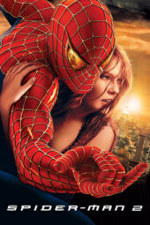 Spider-Man 2 (2004) BluRay Dual Audio [Hindi DD5.1 + English DD5.1] 480p | 720p | 1080p ESub