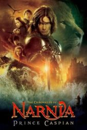 The Chronicles of Narnia: Prince Caspian (2008) BluRay Dual Audio [Hindi DD5.1 + English DD5.1] 480p | 720p | 1080p ESub