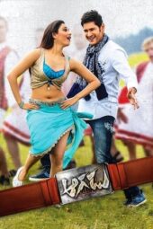 Aagadu (2014) {Hindi+Telugu} 360p +720p 1080p BluRay ESub