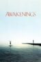 Awakenings (1990) BluRay Dual Audio [Hindi DD5.1 + English DD5.1] 480p | 720p | 1080p ESub