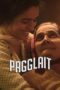 Pagglait (2021) Hindi 360p + 720p + 1080p WEBRip x265 10bit AC3