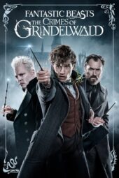 Fantastic Beasts – The Crimes of Grindelwald (2018) Extended 360p + 720p + 1080p 10bit Bluray x265 HEVC [Org Ext. AMZN Hindi DDP 5.1 ~ 640Kbps + AAC 7.1 English] ESub