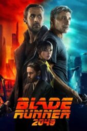 Blade Runner 2049 (2017) BluRay WEB-DL [English + Hindi (DDP 5.1)] | 1080p | 720p | 480p |  ESub