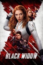 Black Widow (2021) BluRay Dual Audio [Hindi DD5.1 + English DD5.1] 480p | 720p | 1080p ESub