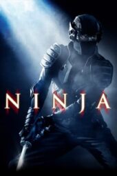 Ninja (2009) BluRay Dual Audio [Hindi DD5.1 + English DD5.1] 480p | 720p | 1080p ESub