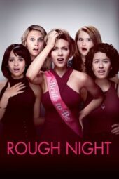 Rough Night (2017) 360p + 720p + 1080p 10bit BluRay x265 HEVC [ Org NF Hindi HE-AAC 5.1 ~ 192Kbps + English AAC 5.1 ] MSubs