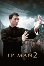 Ip Man 2 (2010) BluRay Dual Audio [Hindi DD5.1 + English DD5.1] 480p | 720p | 1080p ESub