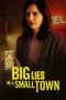 Big Lies in a Small Town (2022) 720p WEBRip HINDI DUBBED Watch Online (1XBET)