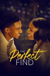 The Perfect Find (2023) 720p + 1080p NF WEB-DL Hindi + English DDP5.1 ESubs