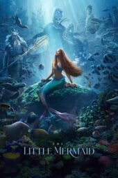 The Little Mermaid (2023) 720p WEBRip Telugu Dubbed Watch Online (1XBET)