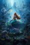 The Little Mermaid (2023) WEB-DL [English DDP 5.1 + Hindi DDP 5.1]  DSNP | 480p | 720p | 1080p | 10Bit HEVC | MSub