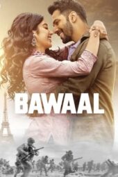 Bawaal (2023) AMZN [Hindi (DDP 5.1)] 1080p | 720p | 480p | MSub