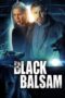 Black Balsam (2022) 720p WEBRip Bengali Dubbed Watch Online (1XBET)