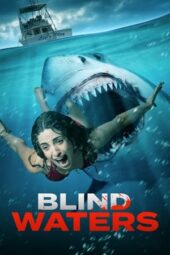 Blind Waters (2023) 720p WEBRip Telugu Dubbed Watch Online (1XBET)