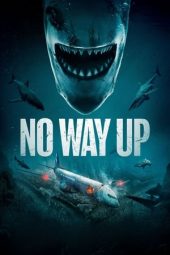 No Way Up (2024) WEB-DL [English + Hindi DDP 5.1] WEB-DL | 480p | 720p | 1080p | 10bit HEVC | ESub