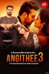 Angithee 3 (2024) UNCUT [Hindi DDP 5.1] 480p | 720p | 1080p | 10Bit HEVC | MSub