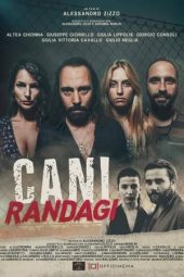 Cani Randagi (2023) 720p WEBRip Tamil Dubbed Watch (1XBET)