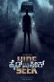 Hide and Seek (2024) 1080p CAMRip Telugu Dubbed Watch Online (1XBET)