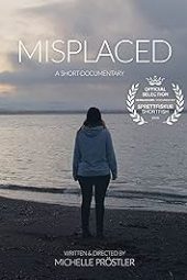 Misplaced (2024) 720p WEBRip HINDI DUBBED Watch Online (1XBET)