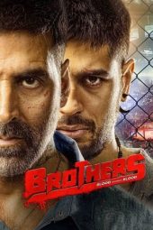 Brothers (2015) WEB-DL [Hindi DDP5.1] 1080p | 720p | 480p | ESub