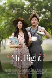 Mr Right (2023) 720p WEBRip HINDI DUBBED Watch Online (1XBET)