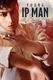 Young Ip Man: Crisis Time (2020) Dual Audio BluRay Full Nollywood Movie ESubs